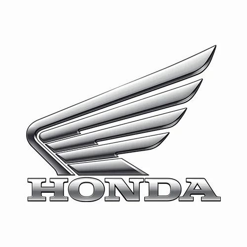 Our Client Logo